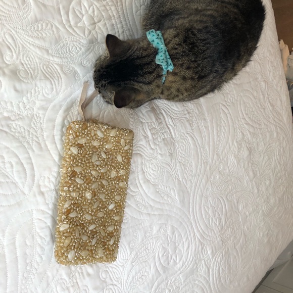 Banana Republic Beaded Clutch - Picture 3 of 6